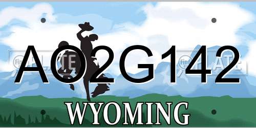 AO2G142 Wyoming License Plate