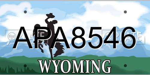 APA8546 Wyoming License Plate
