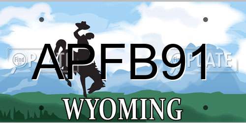 APFB91 Wyoming License Plate