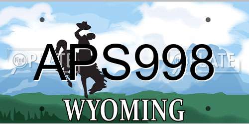 APS998 Wyoming License Plate