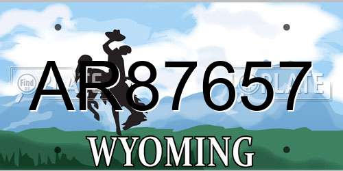 AR87657 Wyoming License Plate