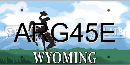 ARG45E Wyoming License Plate