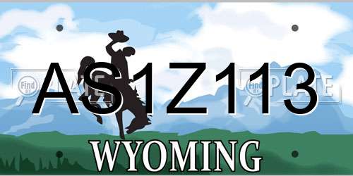 AS1Z113 Wyoming License Plate