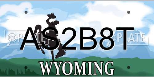 AS2B8T Wyoming License Plate