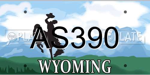 AS390 Wyoming License Plate