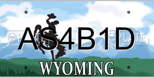 AS4B1D Wyoming License Plate