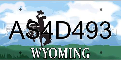 AS4D493 Wyoming License Plate