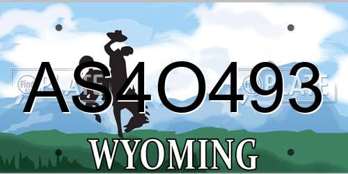 AS4O493 Wyoming License Plate