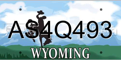 AS4Q493 Wyoming License Plate