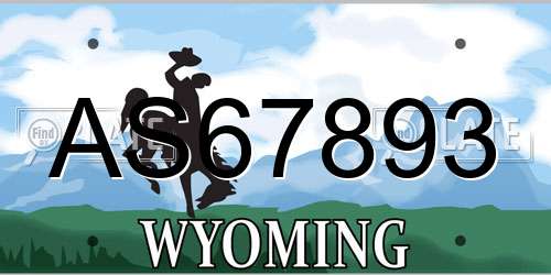 AS67893 Wyoming License Plate