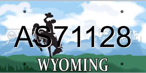 AS71128 Wyoming License Plate