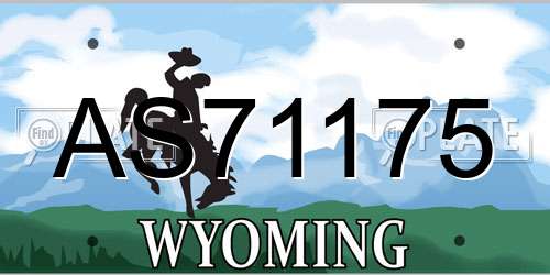 AS71175 Wyoming License Plate