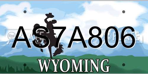 AS7A806 Wyoming License Plate