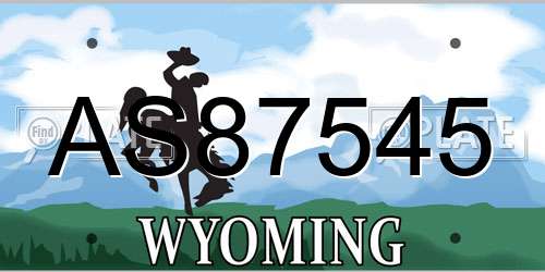 AS87545 Wyoming License Plate