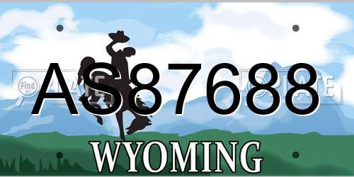 AS87688 Wyoming License Plate