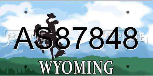 AS87848 Wyoming License Plate