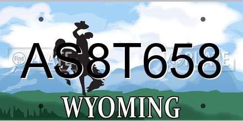 AS8T658 Wyoming License Plate