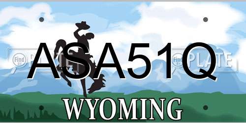 ASA51Q Wyoming License Plate