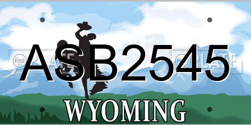 ASB2545 Wyoming License Plate