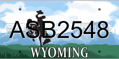 ASB2548 Wyoming License Plate