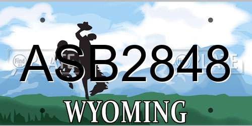 ASB2848 Wyoming License Plate