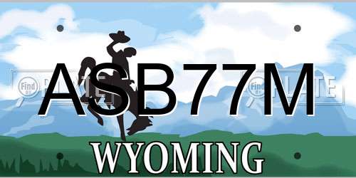 ASB77M Wyoming License Plate