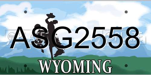 ASG2558 Wyoming License Plate