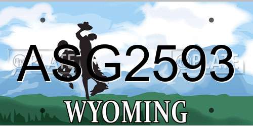 ASG2593 Wyoming License Plate