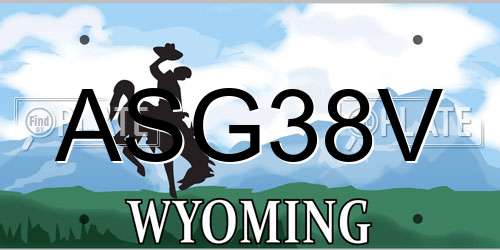 ASG38V Wyoming License Plate