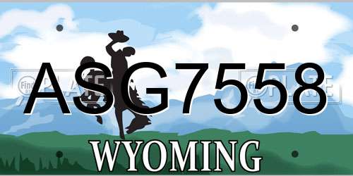 ASG7558 Wyoming License Plate