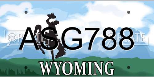 ASG788 Wyoming License Plate