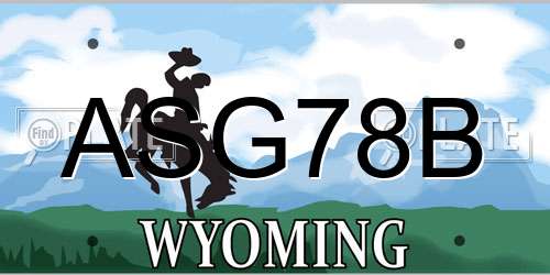 ASG78B Wyoming License Plate