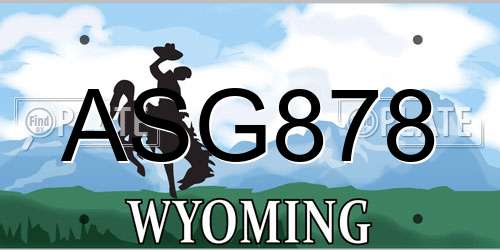 ASG878 Wyoming License Plate