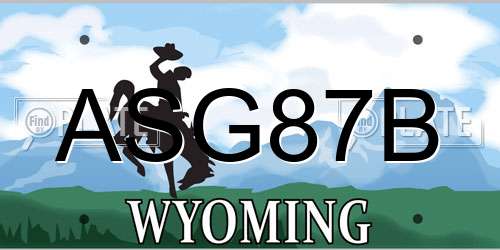 ASG87B Wyoming License Plate