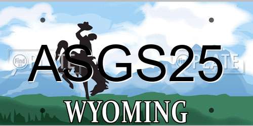 ASGS25 Wyoming License Plate