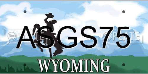 ASGS75 Wyoming License Plate