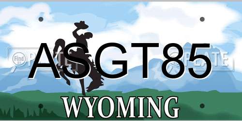 ASGT85 Wyoming License Plate