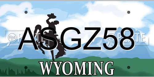ASGZ58 Wyoming License Plate