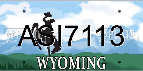 ASI7113 Wyoming License Plate