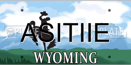 ASITIIE Wyoming License Plate