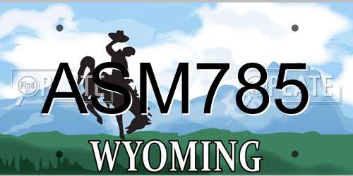 ASM785 Wyoming License Plate