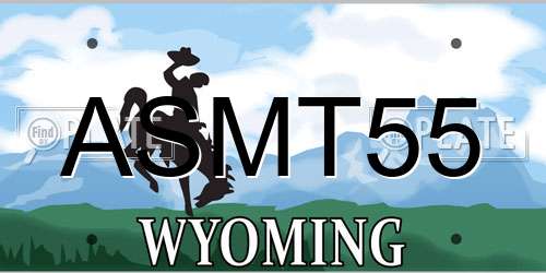 ASMT55 Wyoming License Plate