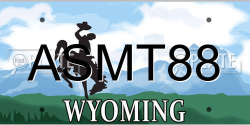 ASMT88 Wyoming License Plate