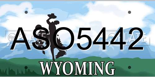 ASO5442 Wyoming License Plate