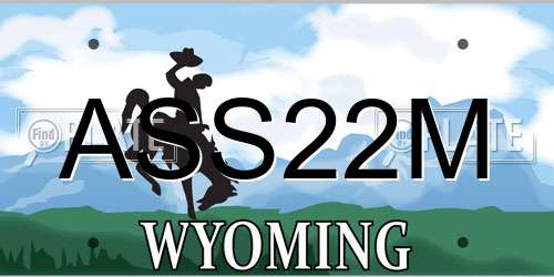 ASS22M Wyoming License Plate