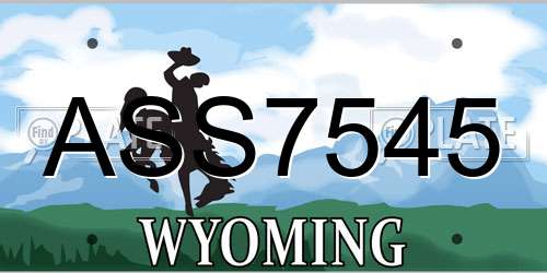 ASS7545 Wyoming License Plate