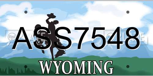 ASS7548 Wyoming License Plate