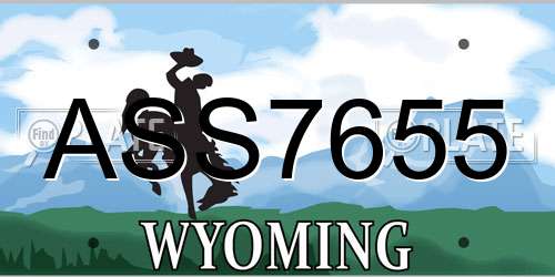 ASS7655 Wyoming License Plate