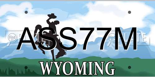 ASS77M Wyoming License Plate