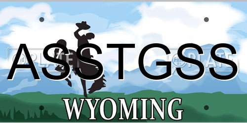 ASSTGSS Wyoming License Plate